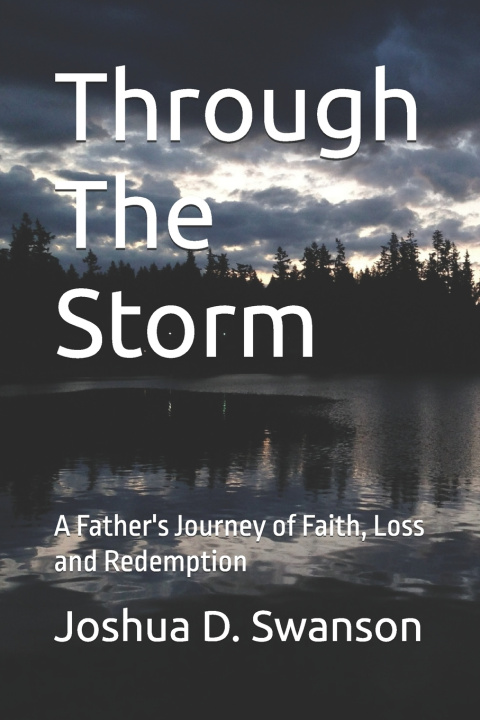 Kniha Through The Storm Joshua Swanson
