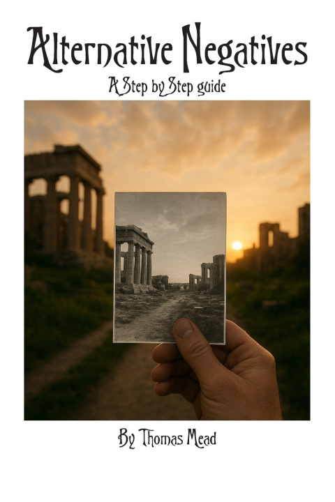 Buch Alternative Negatives Thomas Mead