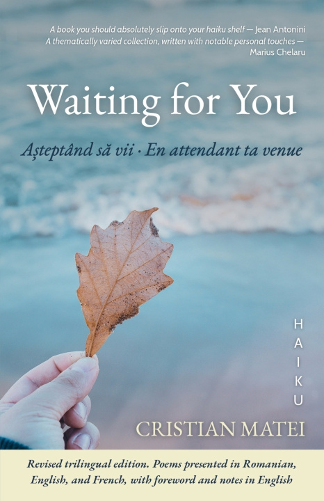 Kniha Waiting for You Iulia Matei