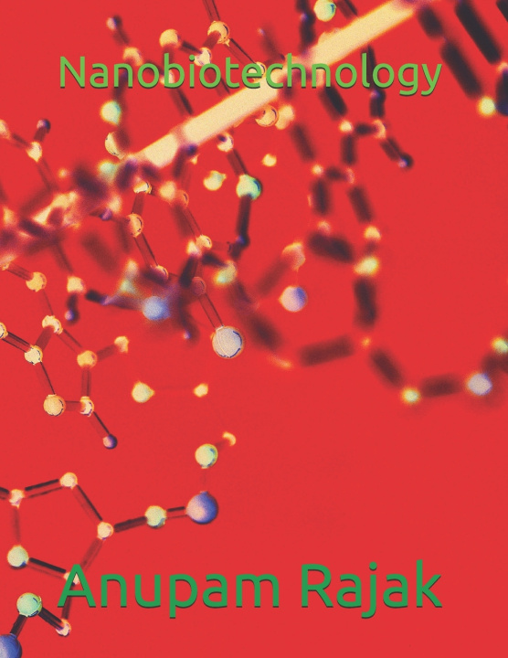 Kniha Nanobiotechnology Anupam Rajak