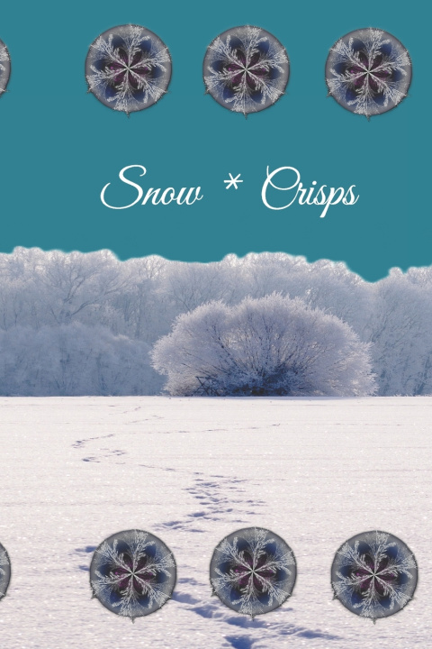Kniha Snow Crisps L. L. Wayne