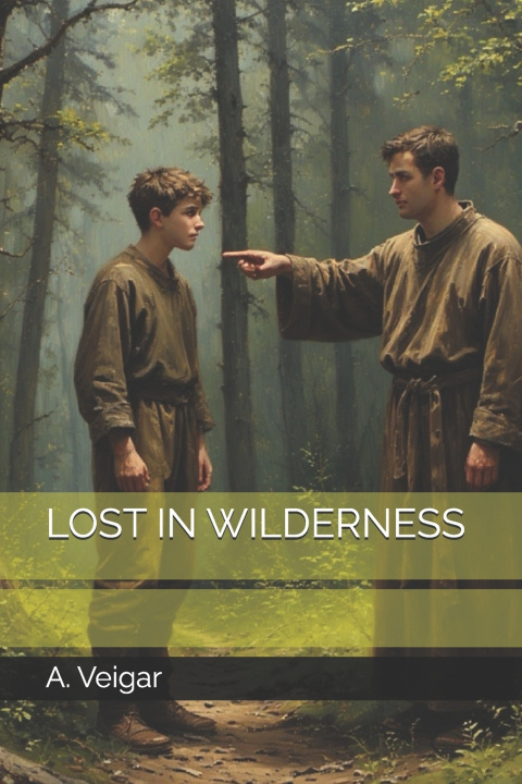 Kniha LOST IN WILDERNESS A. Veigar