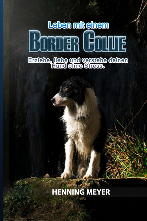 Book Border Collie Henning Meyer