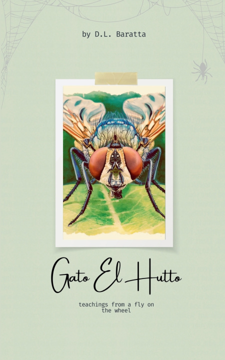 Knjiga Gato El Hutto D.L. Baratta