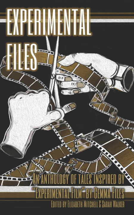 Kniha Experimental Files Glynn Owen Barrass