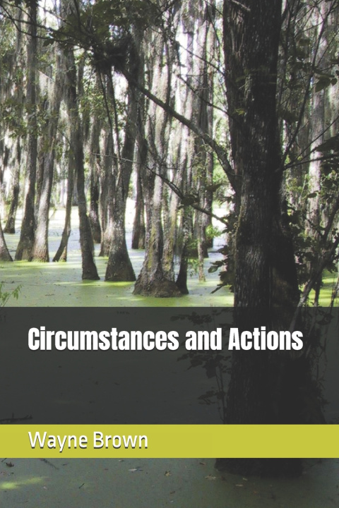 Kniha Circumstances and Actions Wayne Brown
