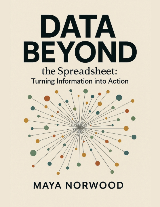 Kniha Data Beyond the Spreadsheet MAYA NORWOOD