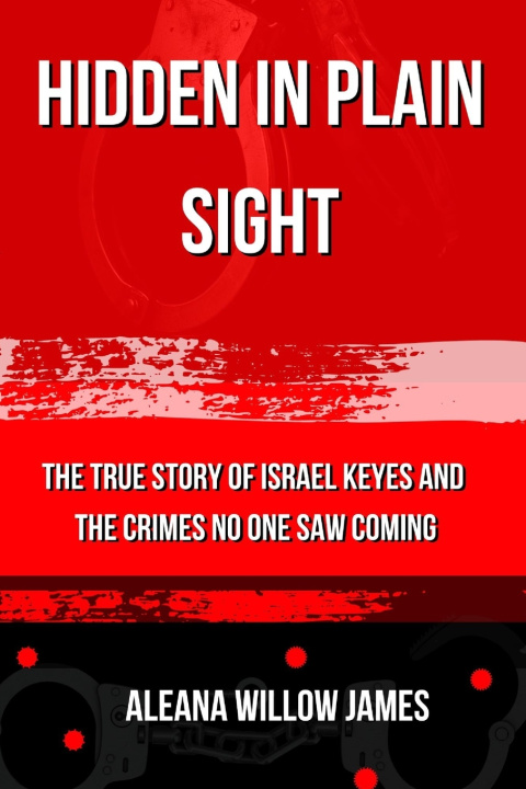 Kniha Hidden in Plain Sight ALEANA WILLOW JAMES