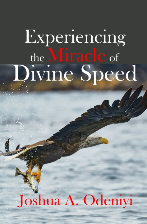 Knjiga Experiencing the Miracle of Divine Speed Joshua Adewumi Odeniyi