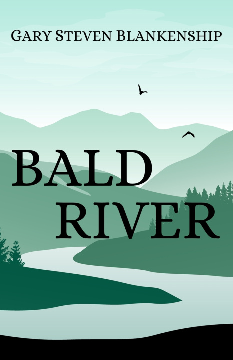 Kniha Bald River Gary Steven Blankenship