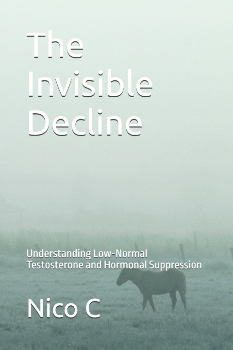 Kniha The Invisible Decline Nico C
