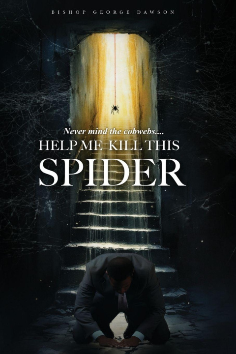 Kniha Never Mind the Cobwebs . . . Help Me Kill this Spider George Evens Dawson