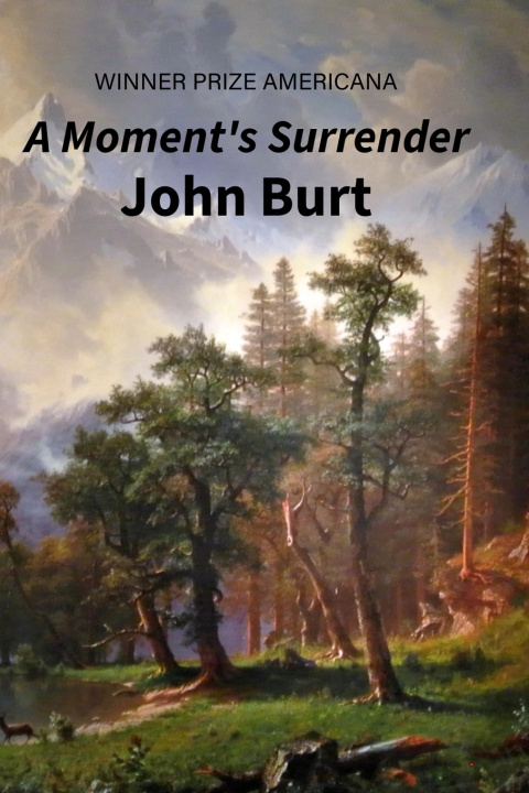Kniha A Moment's Surrender John Burt