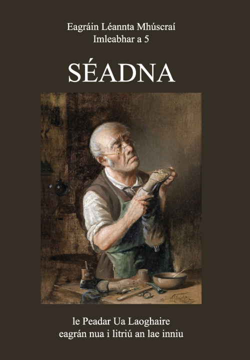 Kniha Séadna Peadar Ua Laoghaire