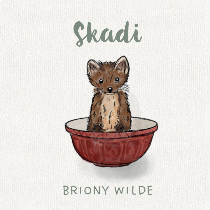 Kniha Skadi Briony Wilde