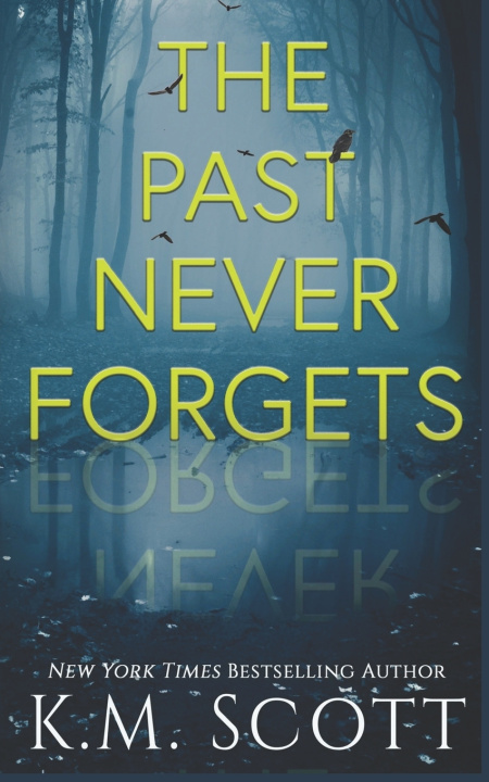Kniha The Past Never Forgets K.M. Scott