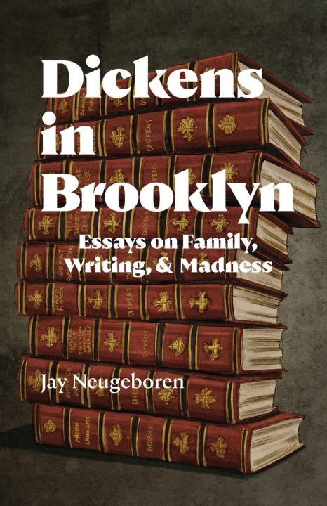 Book Dickens in Brooklyn Jay Neugeboren