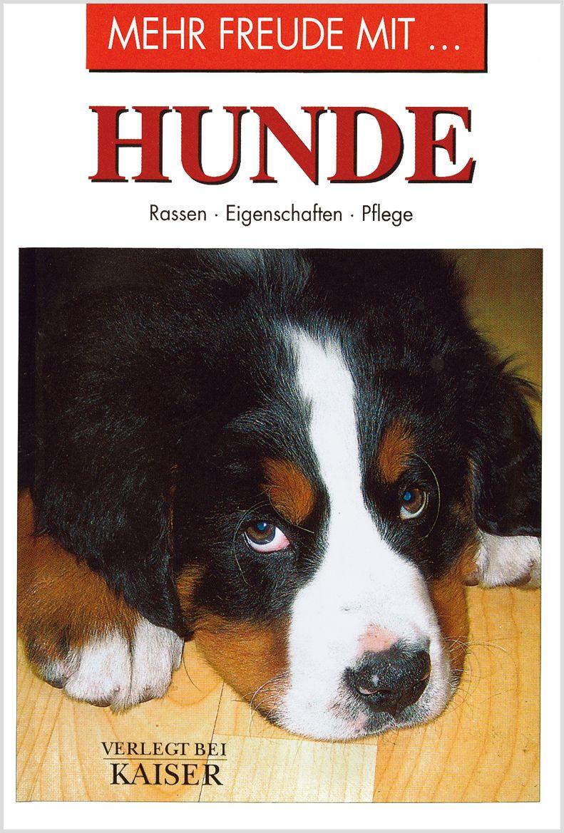 Knjiga Mehr Freude mit ... Hunde 