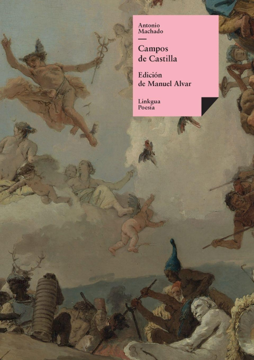 Könyv Campos de Castilla Antonio Machado