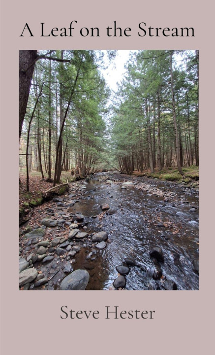 Kniha A Leaf on the Stream Steve Hester