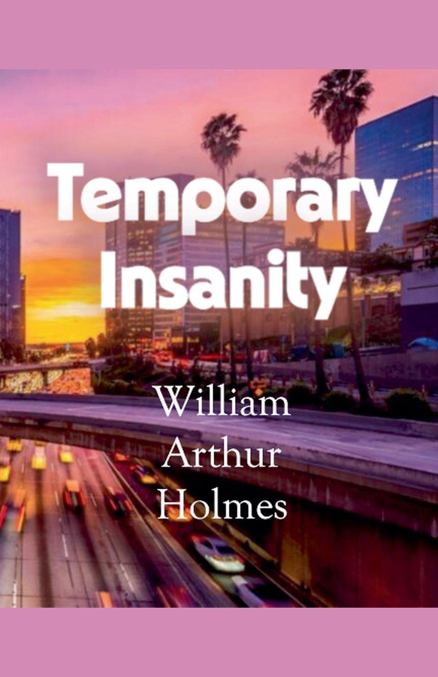 Kniha Temporary Insanity William Arthur Holmes