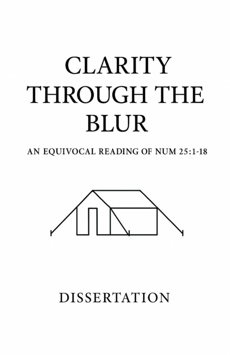 Kniha Clarity Through the Blur Josh Burnham