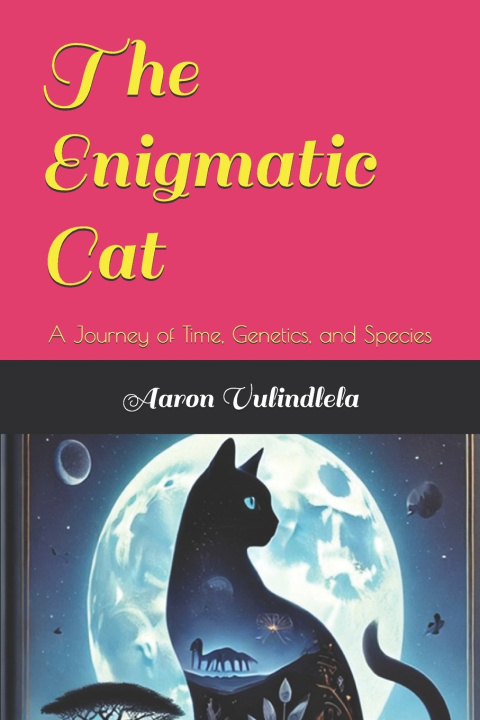 Kniha The Enigmatic Cat Aaron Vulindlela