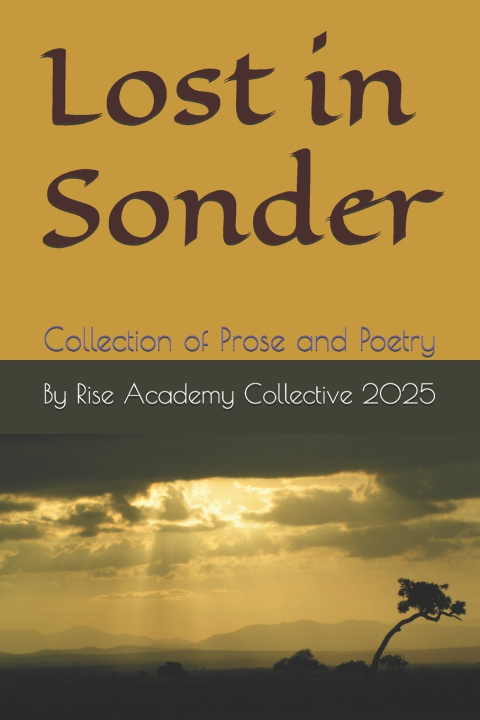 Kniha Lost in Sonder Rise Academy Collective 2026