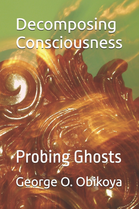 Knjiga Decomposing Consciousness George O. Obikoya
