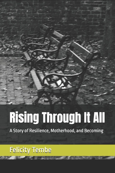 Knjiga Rising Through It All Felicity Tembe