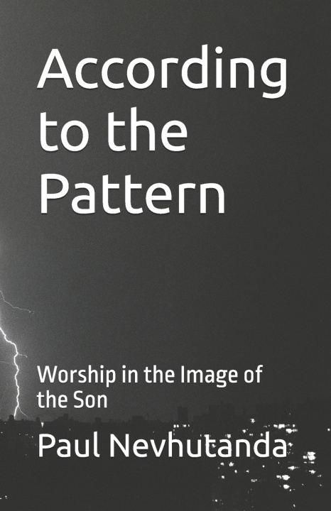 Kniha According to the Pattern Paul Nevhutanda