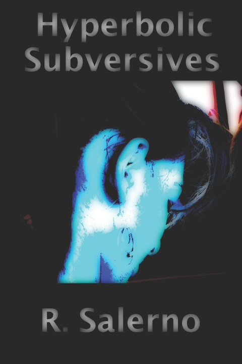 Kniha HYPERBOLIC SUBVERSIVES R Salerno