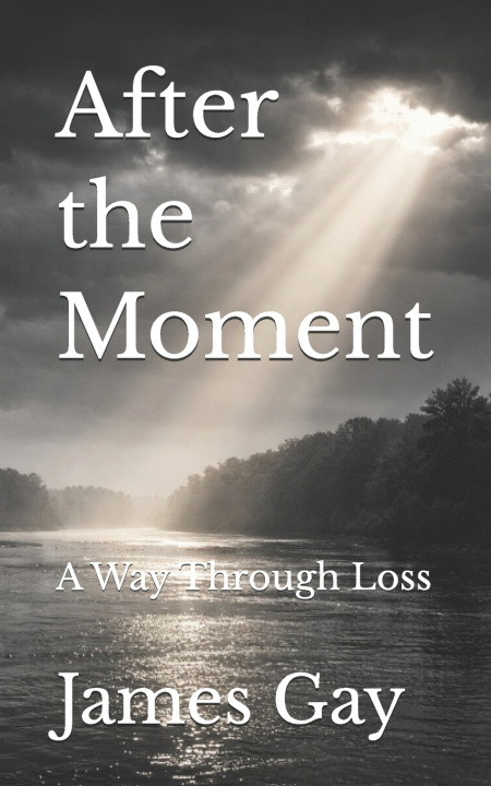 Kniha After the Moment James E. Gay