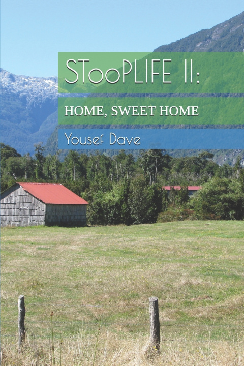 Kniha STooPLIFE II Yousef Dave