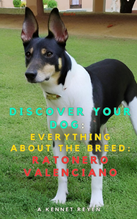 Kniha Discover your dog A. Kennet Reyen