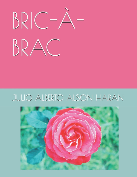 Kniha BRIC-À-BRAC JULIO ALBERTO ALSON HARAN