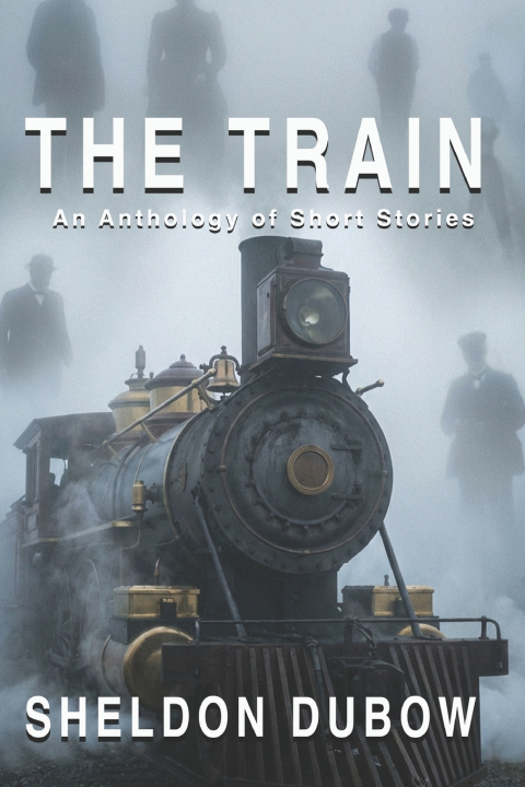 Kniha THE TRAIN Sheldon Dubow