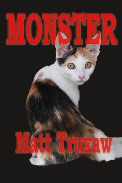 Kniha Monster Matt Truxaw