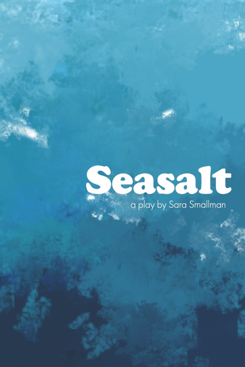 Book Seasalt Sara Smallman