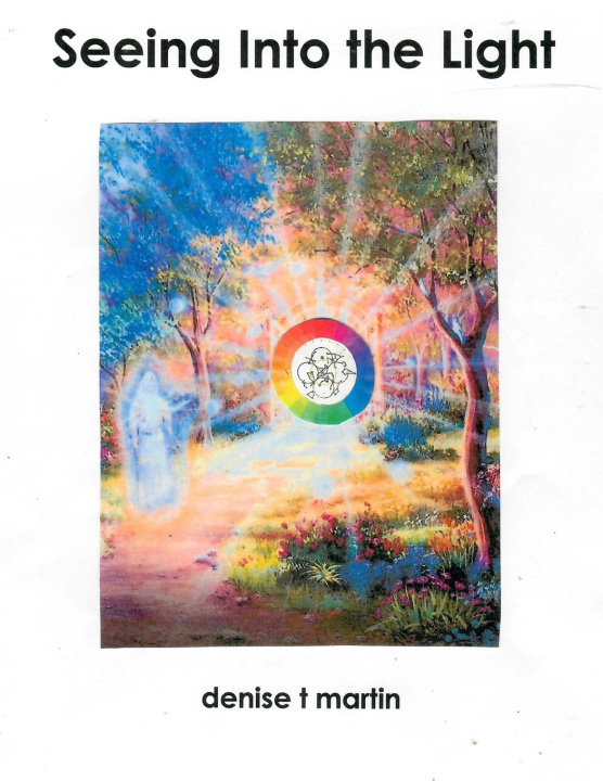 Kniha Seeing Into the Light Denise T Martin