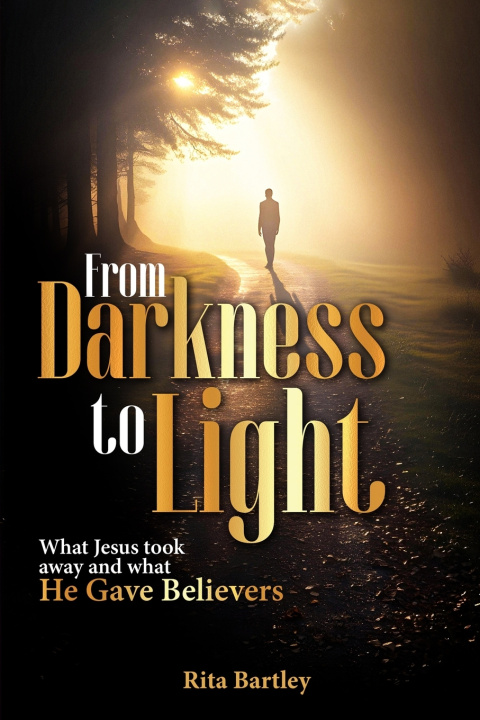Kniha From Darkness to Light Rita Bartley