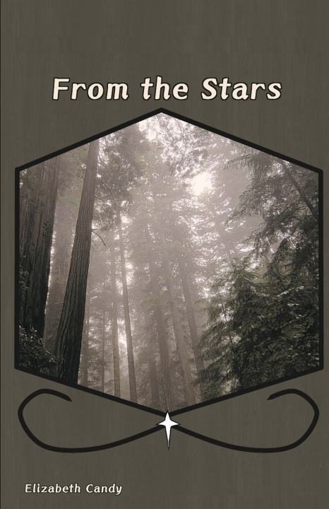 Knjiga From the Stars Elizabeth Candy