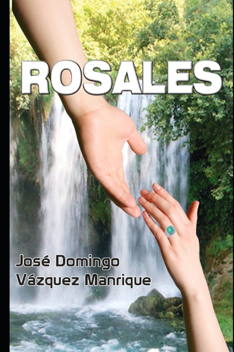 Kniha ROSALES José Domingo Vázquez Manrique