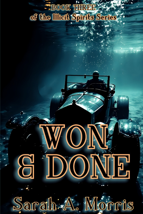 Kniha Won & Done Sarah A. Morris