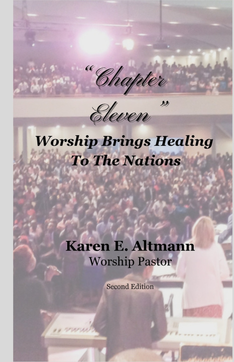 Kniha Chapter Eleven Karen E. Altmann