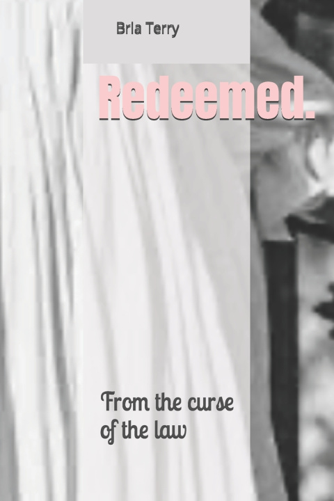 Kniha REDEEMED Bria J Terry