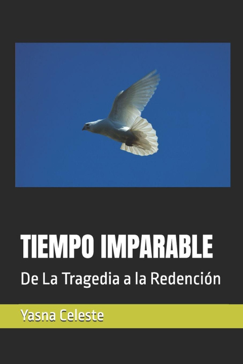 Könyv TIEMPO IMPARABLE Yasna Del Sol Celeste