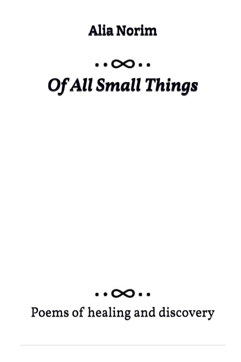 Book Of All Small Things Alia Norim