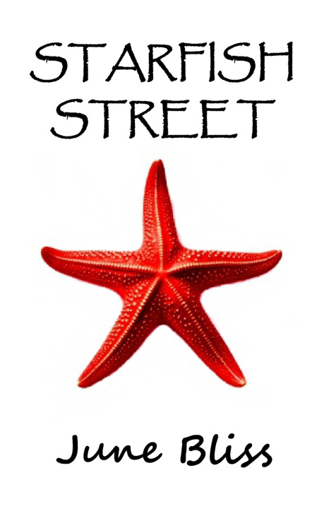 Kniha Starfish Street June Bliss
