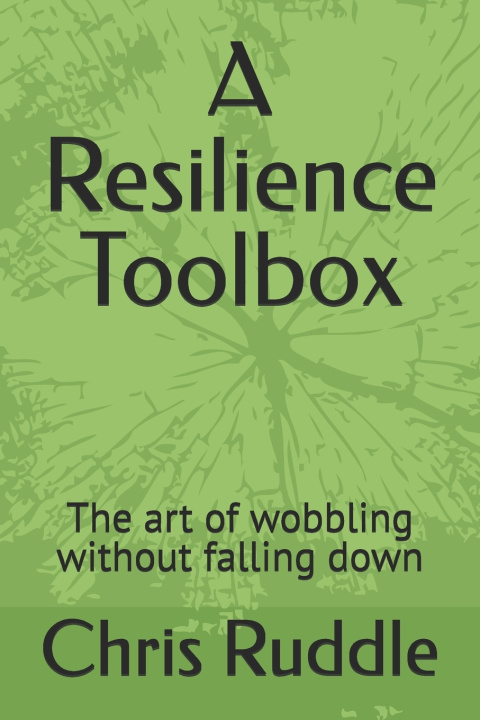 Knjiga A Resilience Toolbox Chris Ruddle